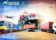 Çin'den ABD / Avrupa'ya Deniz Taşımacılığı Amazon FBA Nakliye Acentesi