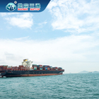 Drop Shipping Gümrükleme Hizmetleri Acentesi Çin'den Rusya'ya FCL LCL