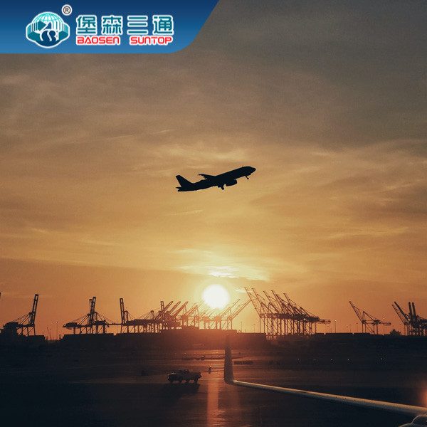 Shenzhen Dünya Çapında Nakliye Acentesi, FBA Nakliyeci Kapıdan Kapıya Servis
